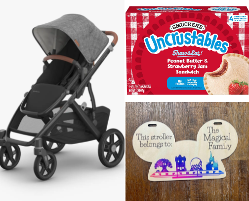 Disney World Baby Essentials cover photo collage