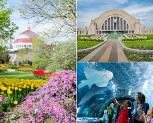 Looking for Fun? These Entertainment Picks Have You Covered cover photo collage