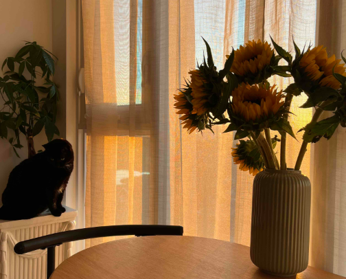 Ikea home finds cover photo collage