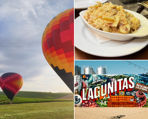 Destination Honeymoon: Plan your perfect trip to Petaluma / Sonoma County cover photo collage