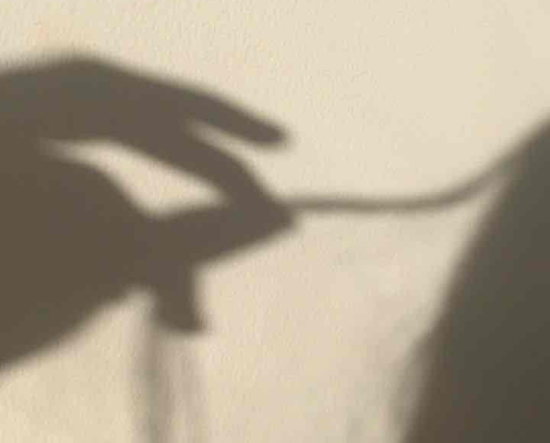 my absolute fav haircare products ✨ cover photo collage