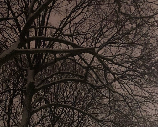 🍷deep fragrance lovers🖤 cover photo collage