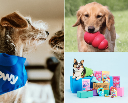 My Favorite Dog Products cover photo collage