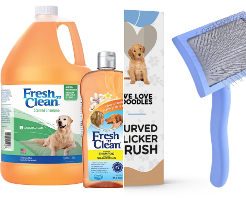 Essentials for a mini golden doodle pup cover photo collage