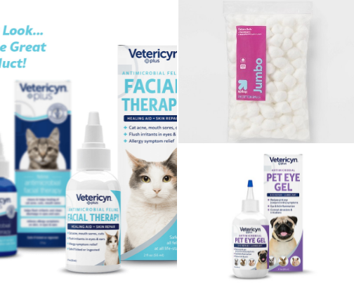 Kitten sick remedies cover photo collage