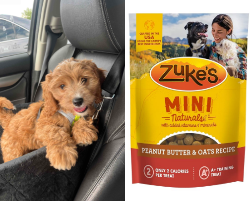 New Puppy Who Dis? cover photo collage