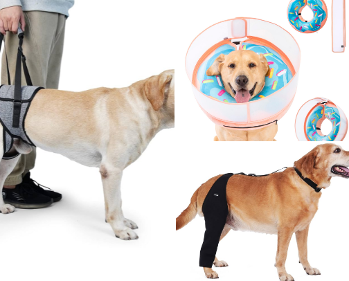 Dog Recovery Products! cover photo collage