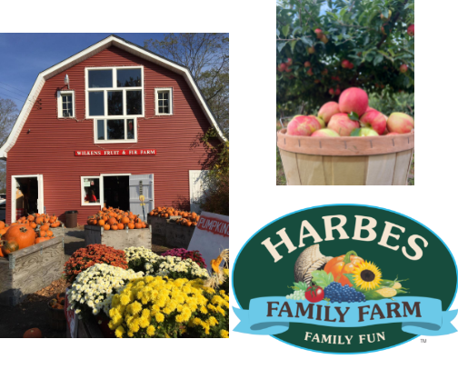 All Things Fall in NY – Farms, Cafés & Festivals🍁 cover photo collage