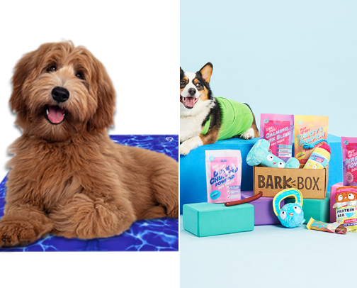 Dog Mommy Favorites! cover photo collage