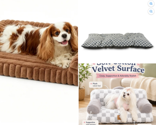 What your pets need right now! cover photo collage