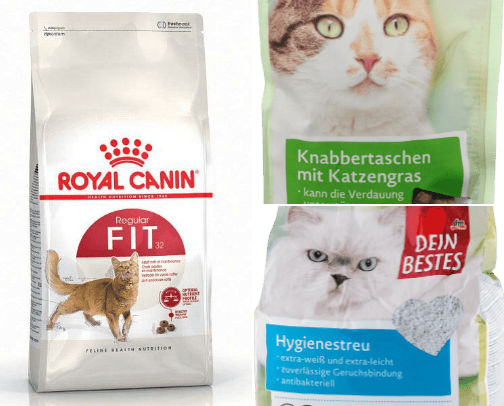 Cat essentials 🐈 cover photo collage