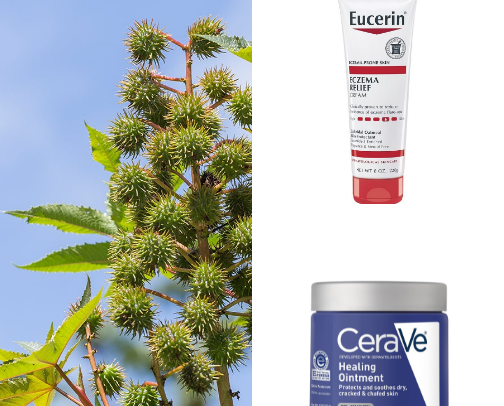 Eczema care cover photo collage