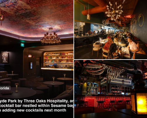 THE Speakeasy Guide for Tampa Bay cover photo collage
