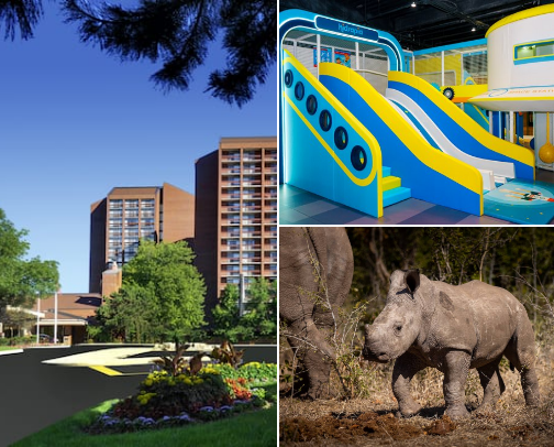 When visiting Mississauga! cover photo collage