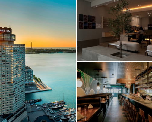 My top Toronto recs cover photo collage