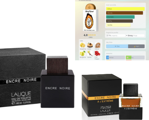 The Best Niche and Unisex Scents for the Witchy Woman cover photo collage