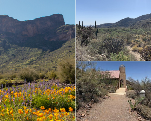 Hiking places in Tucson cover photo collage