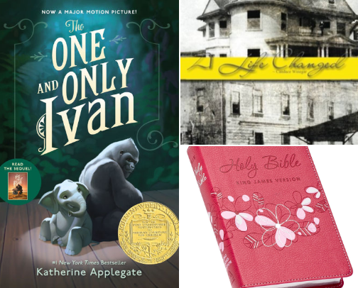 Books recommended by a teenage girl cover photo collage