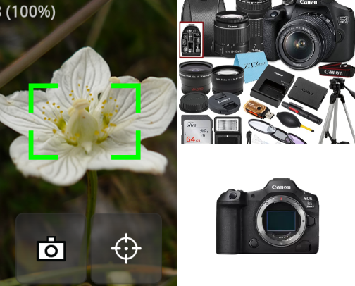 Through the Lense (Camera, CCTV, Recorder) cover photo collage