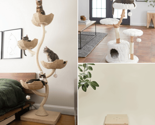 Cat Trees & Towers cover photo collage