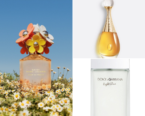 Perfumes cover photo collage