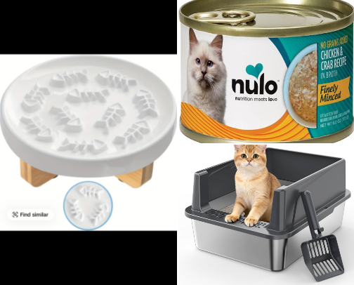 Cat owner essentials for multi-cat households cover photo collage