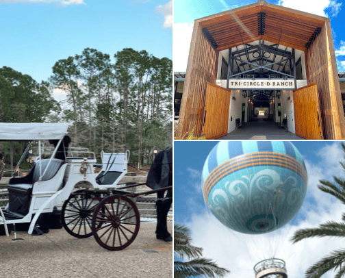 Fun Things to do at Disney World! cover photo collage