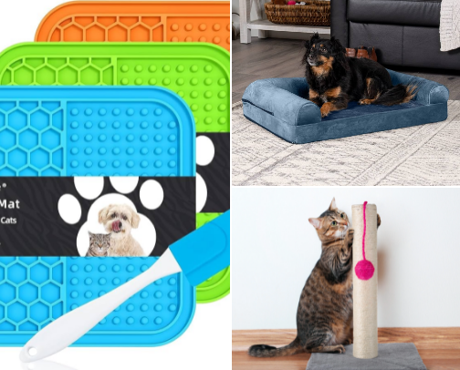 Pawsome finds 🐶✨ cover photo collage