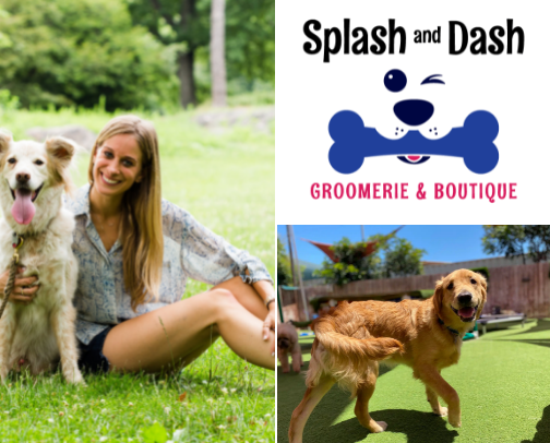 Pet Pros I Trust With My (Hypothetical) Dog’s Life cover photo collage