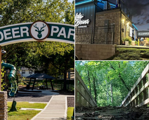 The Best Things To Do + See In Cleveland, TN cover photo collage