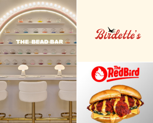 Indoor Activities In Tampa To Escape the Rain and Heat! cover photo collage