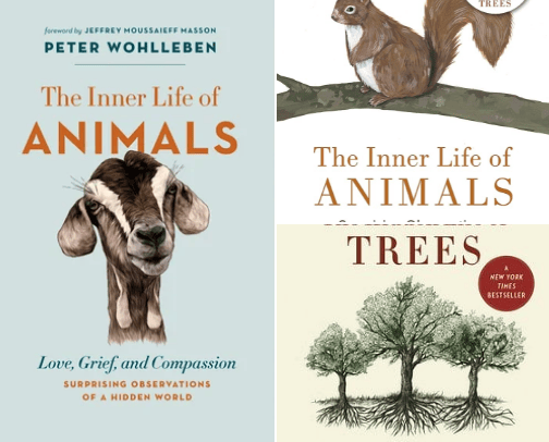Amazing books about life of trees and animals cover photo collage