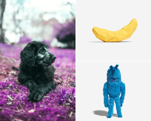 Pig's Supplies 🐕‍🦺(Dog) cover photo collage