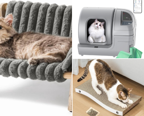 What I Will Buy If I Have A Cat 🪑🐱 cover photo collage