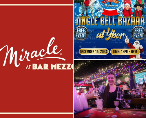 Tis the Season in Tampa Bay!🎄🎄 cover photo collage