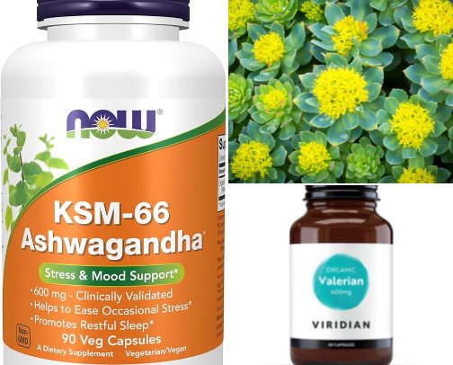 Holistic Herbal Wellness cover photo collage