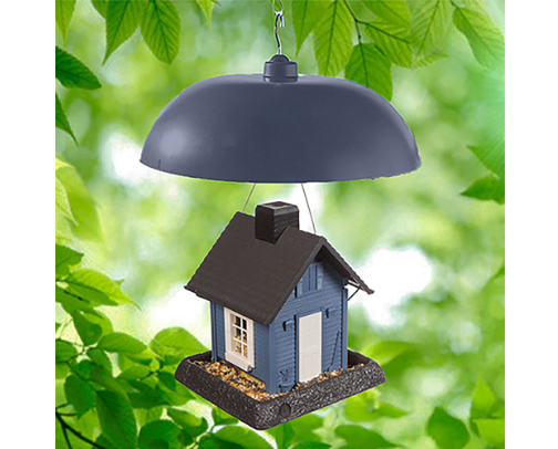 Your Backyard Bird Paradise! 🌳 cover photo collage