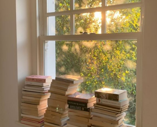 Summer Reads - Sci/fi and Fantasy/Romantasy cover photo collage