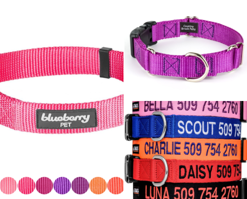 Adjustable Durable Dog Collars I Tried After My Dog Destroyed Everything cover photo collage