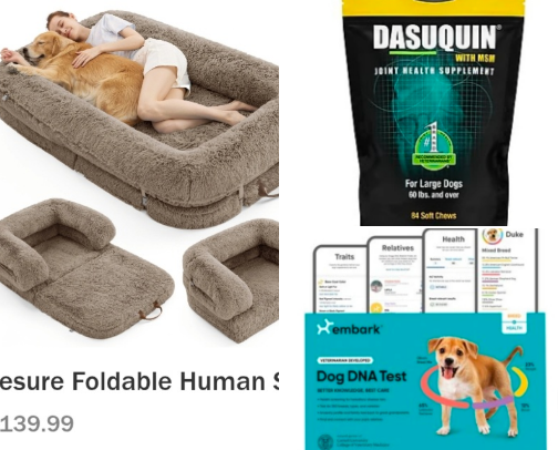 OUR CHEWY FAVORITES cover photo collage