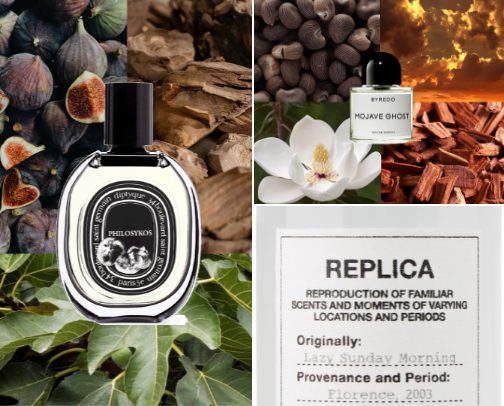 Unique Perfumes Every Woman Should Discover cover photo collage