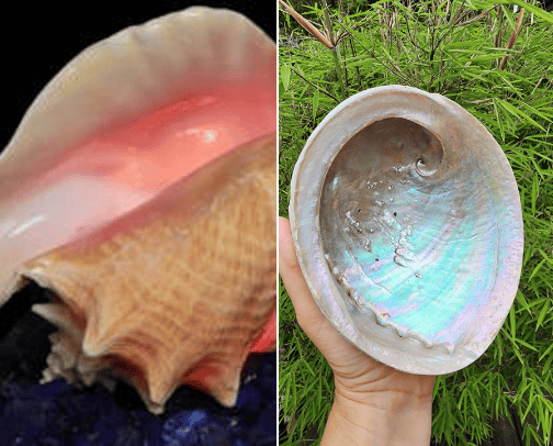 Natural Stones cover photo collage