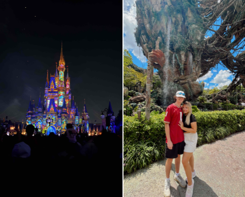 Disney World Guide cover photo collage