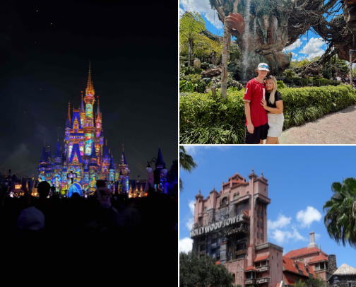 Disney World Guide cover photo collage
