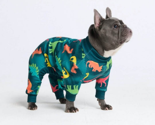 Doggy Outfits! cover photo collage