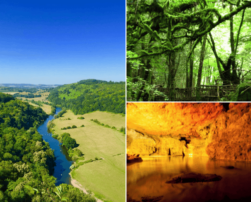 Places to visit Forest of Dean cover photo collage