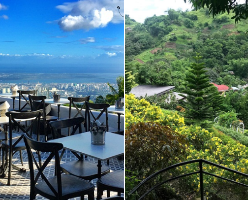 My top local recs cover photo collage