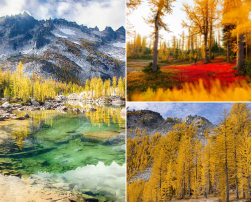 Trail Therapy: Because Life After 40 Deserves Fresh Air and Big Views cover photo collage