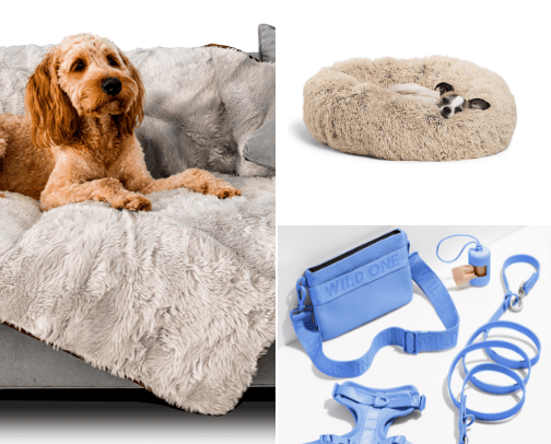 Dog Essentials cover photo collage