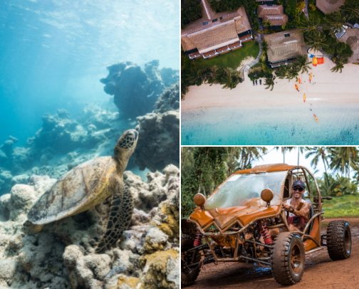 Rarotonga cover photo collage